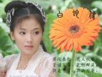 三百张美女图片大全 (12)