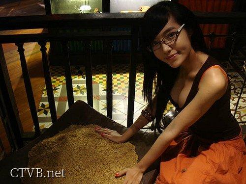 elly 图片 越南国花 4 vietnam (52)