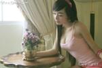 elly 图片 越南国花 4 vietnam (7)