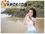 elly 图片 越南国花 4 vietnam (352)
