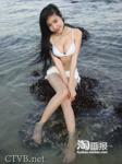elly 图片 越南国花 1 (1)