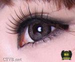 vivieye魔女 (3)