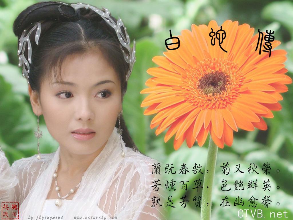 三百张美女图片大全 (12).jpg