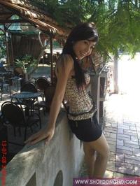 elly 图片 越南国花 4 vietnam (454).jpg