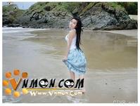 elly 图片 越南国花 4 vietnam (349).jpg