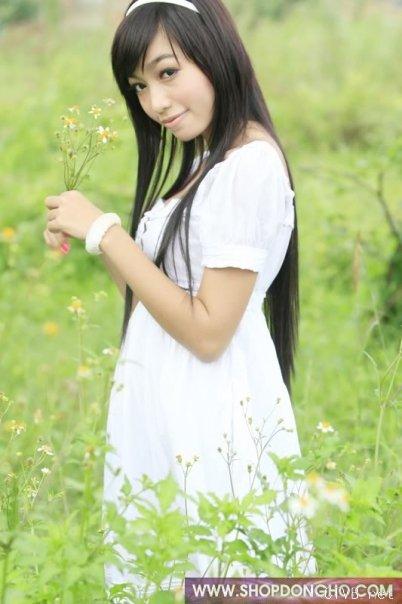 elly 图片 越南国花 4 vietnam (512).jpg