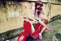 elly 图片 越南国花 4 vietnam (536).jpg