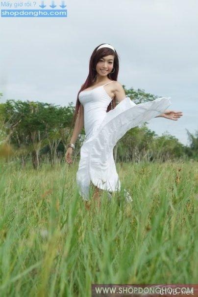 elly 图片 越南国花 4 vietnam (291).jpg