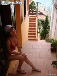 elly 图片 越南国花 4 vietnam (343).jpg