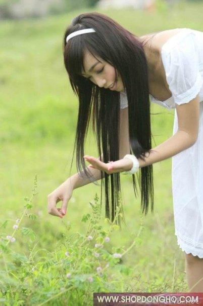 elly 图片 越南国花 4 vietnam (513).jpg