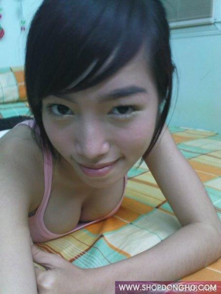 elly 图片 越南国花 4 vietnam (414).jpg