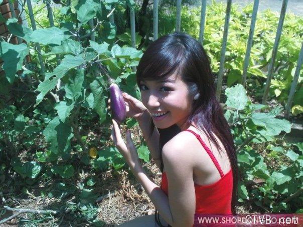 elly 图片 越南国花 4 vietnam (465).jpg