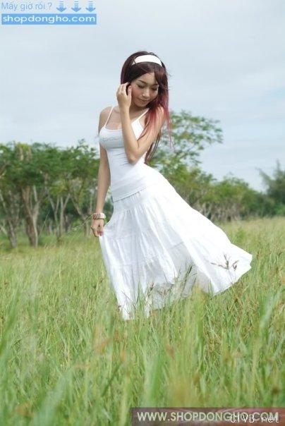 elly 图片 越南国花 4 vietnam (290).jpg