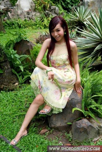 elly 图片 越南国花 4 vietnam (458).jpg