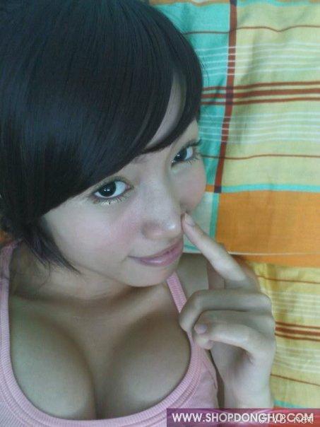 elly 图片 越南国花 4 vietnam (380).jpg