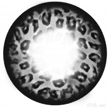 可米路豹纹物语 (12).jpg