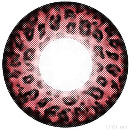 可米路豹纹物语 (13).jpg