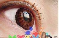 vivian花嫁三色 (17).jpg