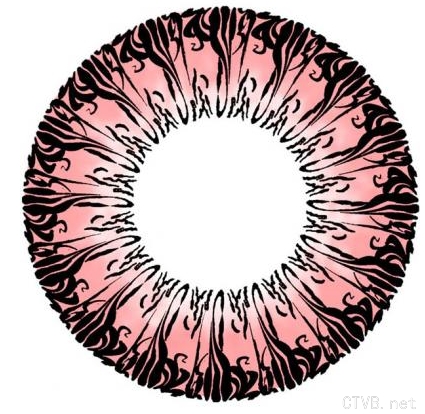 cici玛奇朵 (5).jpg