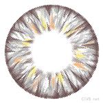 柠檬四色 (4).jpg