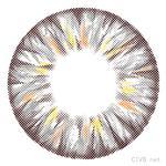 柠檬四色 (4).jpg