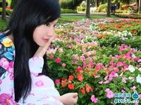 elly 图片 越南国花 3 (78).jpg