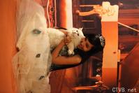 elly 图片 越南国花 3 (115).jpg