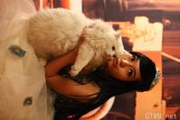 elly 图片 越南国花 3 (121).jpg