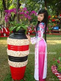 elly 图片 越南国花 3 (42).jpg