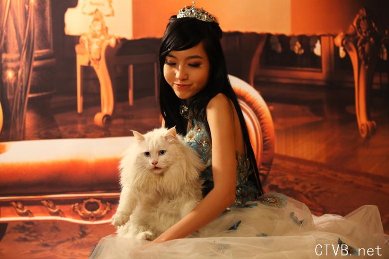 elly 图片 越南国花 3 (123).jpg