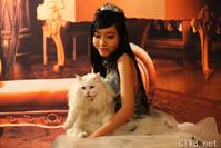 elly 图片 越南国花 3 (123).jpg