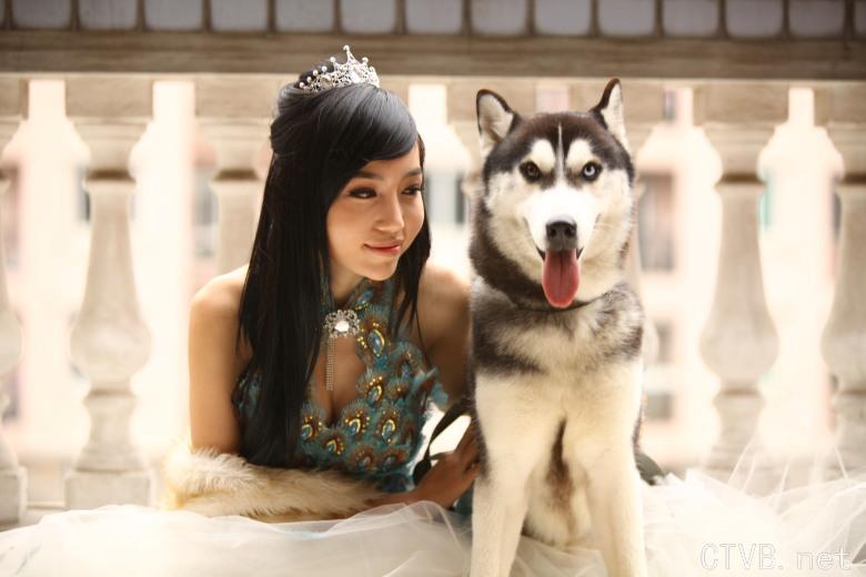 elly 图片 越南国花 3 (111).jpg