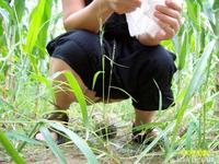 美腿走光 - 偷拍熟女野外解手 - 2.jpg