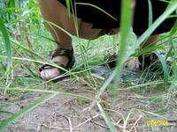 美腿走光 - 偷拍熟女野外解手 - 3.jpg