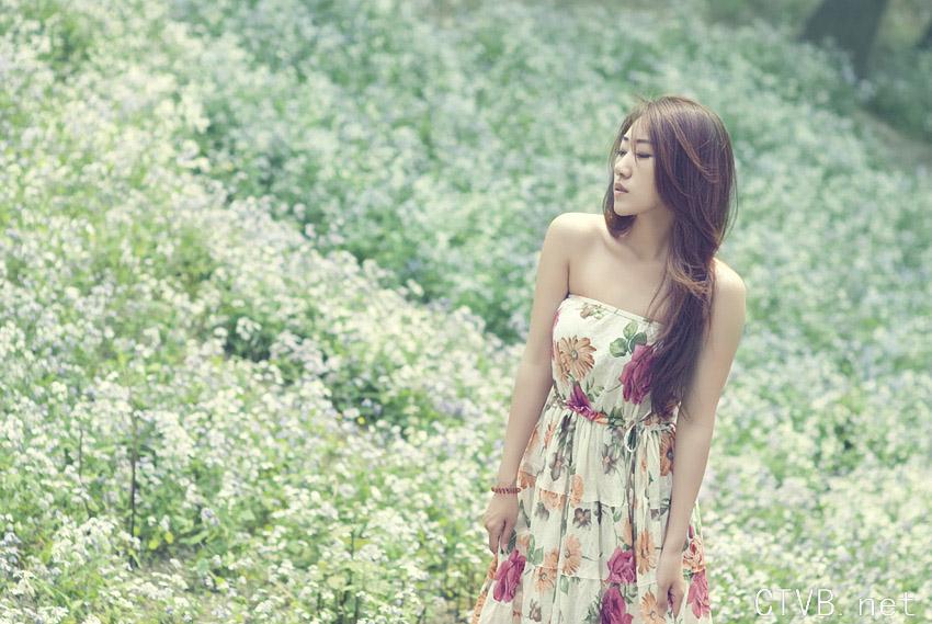 沉醉在花海洋中美女-621.jpg