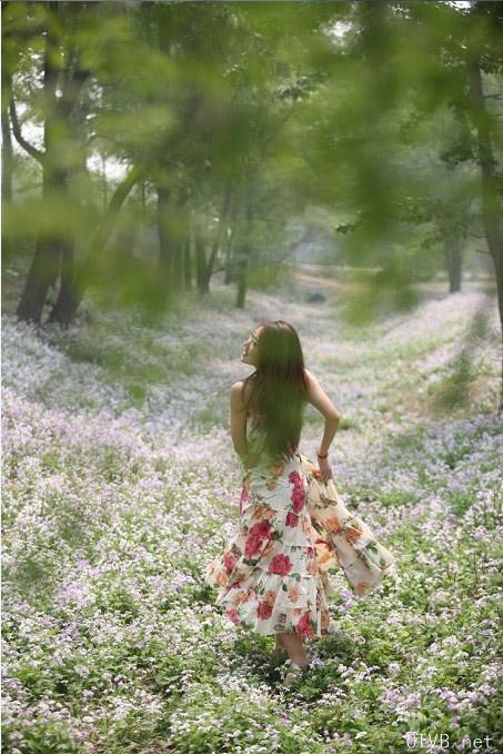 沉醉在花海洋中美女-57e.jpg