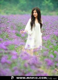 3000张美女图片 各类美女全包含 (3180).jpg