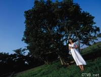 高清无水印美女壁纸上千套9000张 - 16.jpg