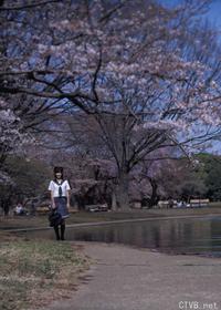 高清无水印美女壁纸上千套9000张 - 42.jpg