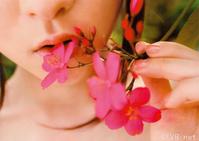 高清无水印美女壁纸上千套9000张 - 68.jpg