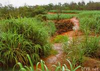 高清无水印美女壁纸上千套9000张 - 40.jpg