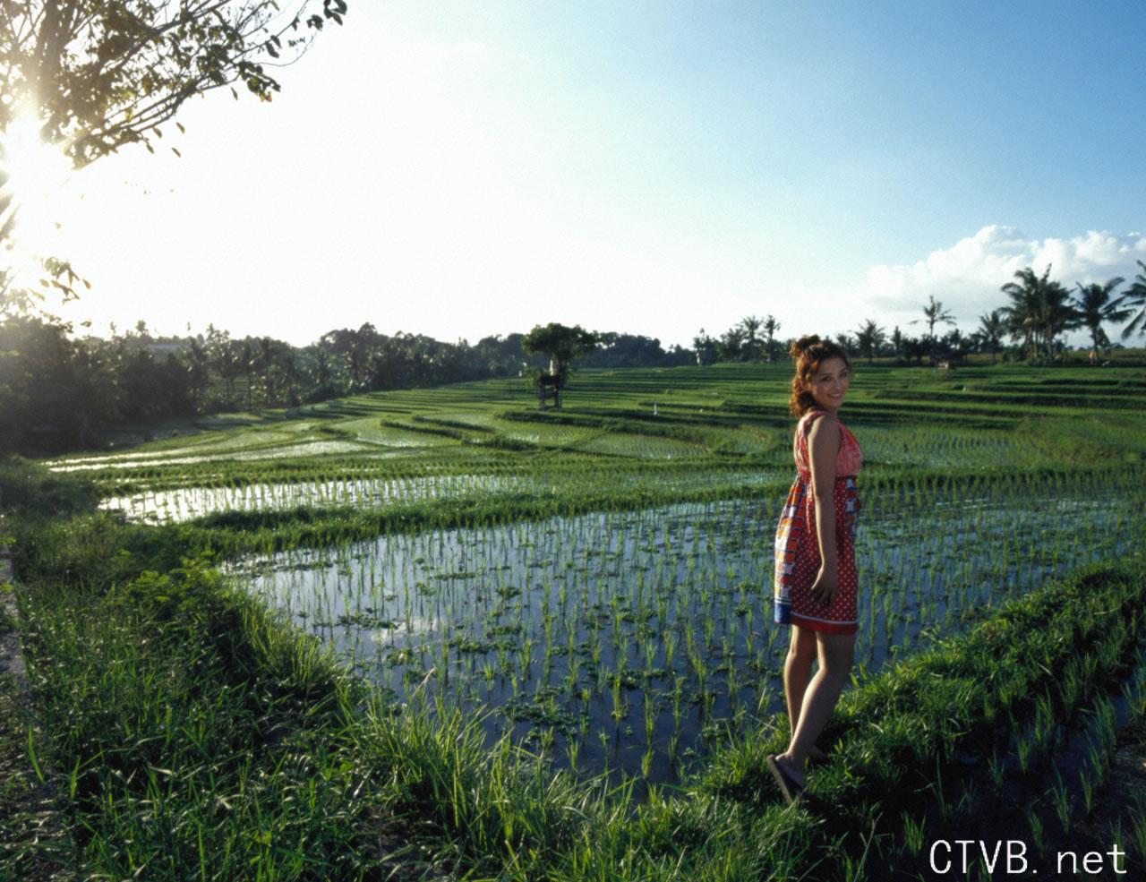 高清无水印美女壁纸上千套9000张 - 21.jpg