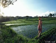 高清无水印美女壁纸上千套9000张 - 21.jpg