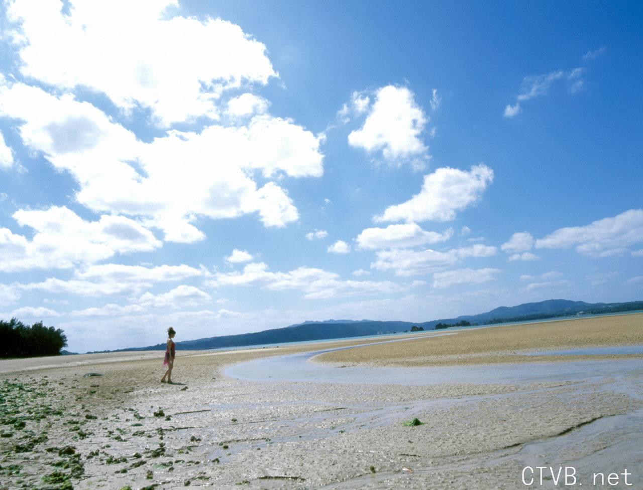 高清无水印美女壁纸上千套9000张 - 60.jpg