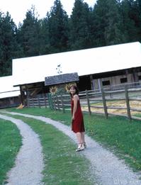 高清无水印美女壁纸上千套9000张 - 30.jpg