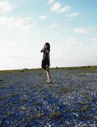 高清无水印美女壁纸上千套9000张 - 81.jpg