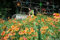 高清无水印美女壁纸上千套9000张 - 5.jpg