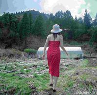 高清无水印美女壁纸上千套9000张 - 1.jpg